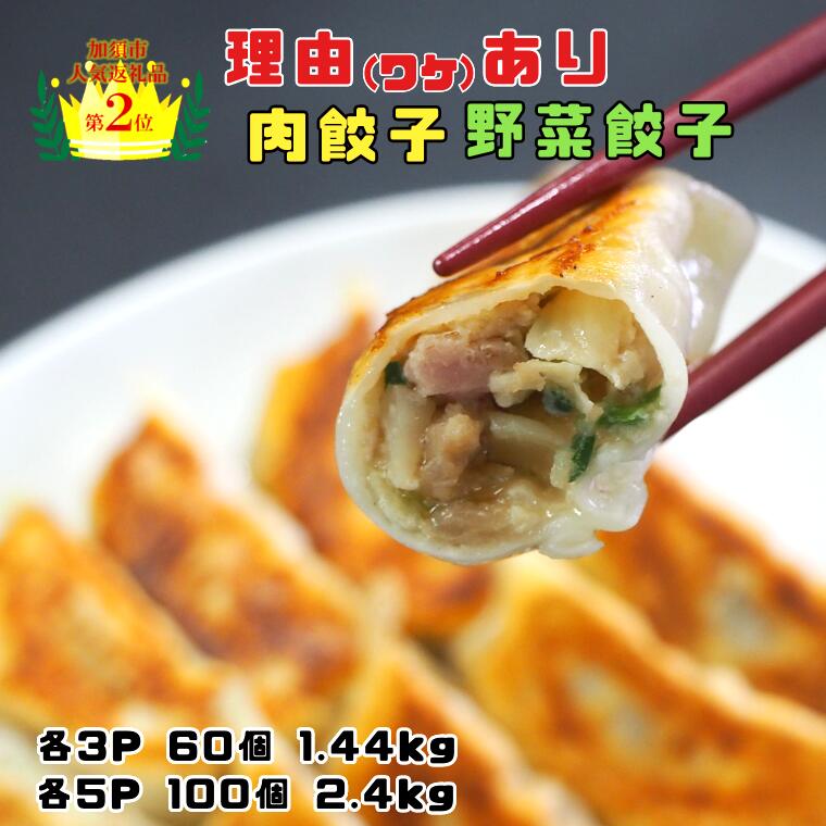 【ふるさと納税】【訳あり】 冠生園 の食べ比べ餃子セット 冷凍 肉・野菜餃子 ：6パック or 10パック