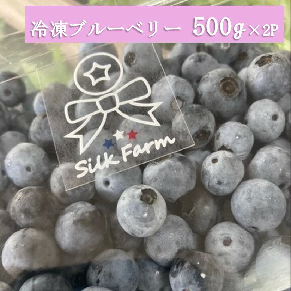 【ふるさと納税】シルクファーム産 冷凍ブルーベリー1000g 500g 2パック 