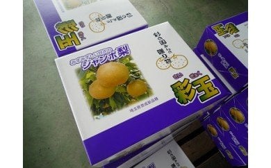 りんご 梨 ふるさと納税の返礼品一覧 人気順 21年 ふるさと納税ガイド