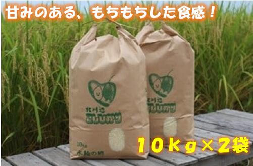 【ふるさと納税】埼玉県一位の米どころ 北川辺こしひかり 20kg 甘みあるもちもち食感