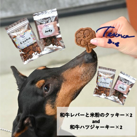 【ふるさと納税】【Tesoro】わんこ用／和牛レバー米粉のクッキーとジャーキー　各2袋セット（お肉屋さんが作る犬ご飯）