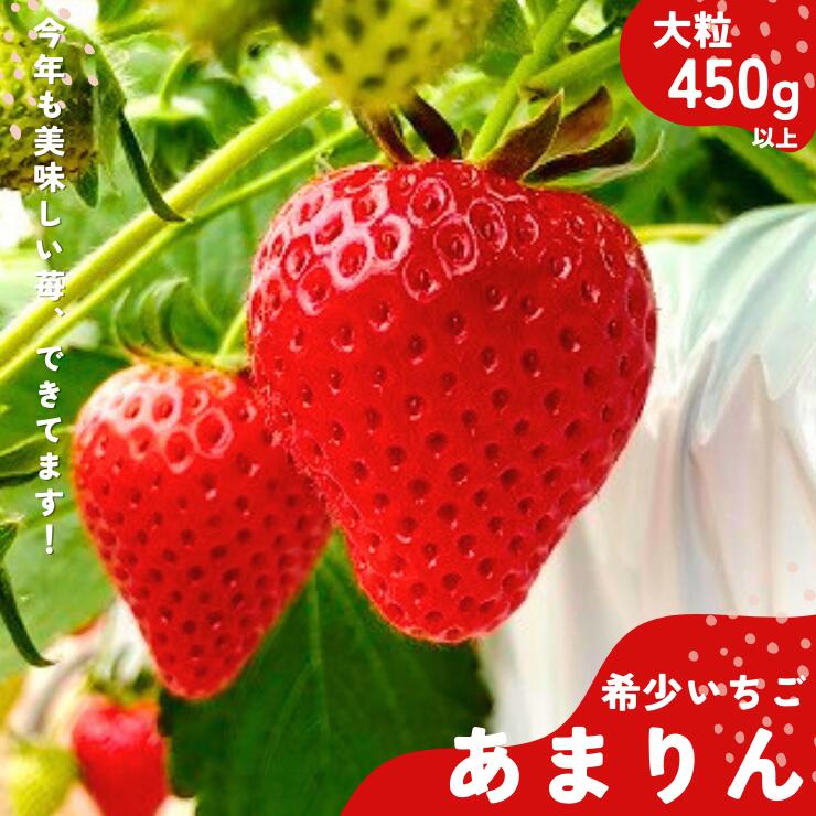 【ふるさと納税】かぞブランド　埼玉生まれの希少いちご『あまりん　大粒』（450g以上）【潰れが気にならない方限定】【苺】 イチゴ おおきい スイーツ あかい 果物 いちご フルーツ 期間限定 人気いちご 甘い いちご 旬 直送 おすすめ いちご ストロベリー 苺ジャム