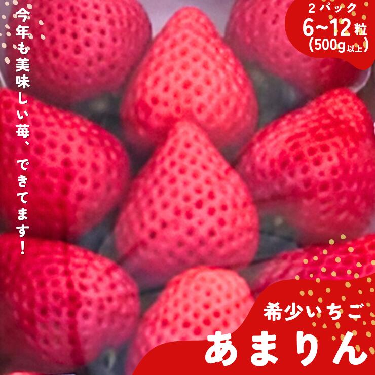 埼玉生まれの希少いちご『あまりん』(6〜12粒、合計500g以上)