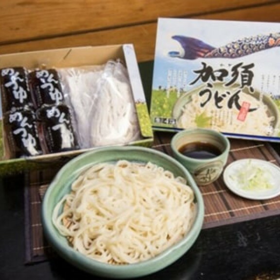 【ふるさと納税】「つかさ」の生うどんセット（真空パック・4人前）＋乾麺（つゆ付・3人前）のサムネイル