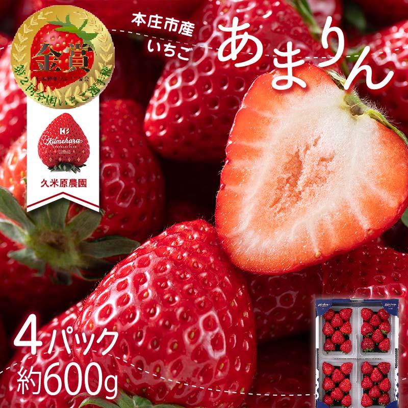 【ふるさと納税】本庄市産いちご あまりん 小4パック 約600g (約150g×4パック) いちご イチゴ 苺 ストロベリー ご当地 本庄市産 果物 くだもの フルーツ デザート 食品 関東 F5K-051のサムネイル