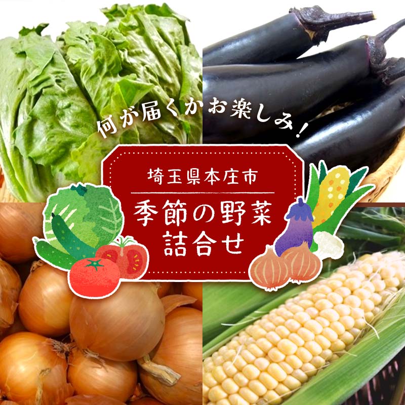 季節の野菜詰合せ 本庄産 旬 野菜 セット 詰合せ ご当地 生鮮品 食品 関東 F5K-108