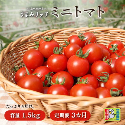 定期便(4〜6月)≪特別栽培農産物≫ファームサイドのこだわりミニトマト 1.5kg 特別栽培 農産物 サラダ 生食 ピクルス 炒め物 食品 本庄産 関東 F5K-377