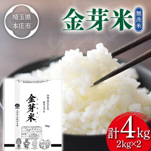【ふるさと納税】 ≪2025年先行予約≫ 埼玉県 令和7年産 金芽米 4kg(2kg×2) 無洗米 白米 米 お米 ごはん 食品 ヘルシー カロリーオフ 糖質オフ 埼玉県 本庄市 F5K-535