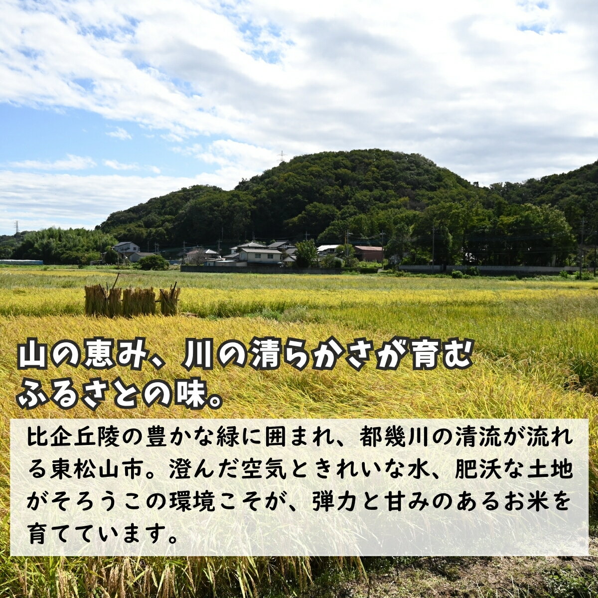 埼玉県東松山市の画像3