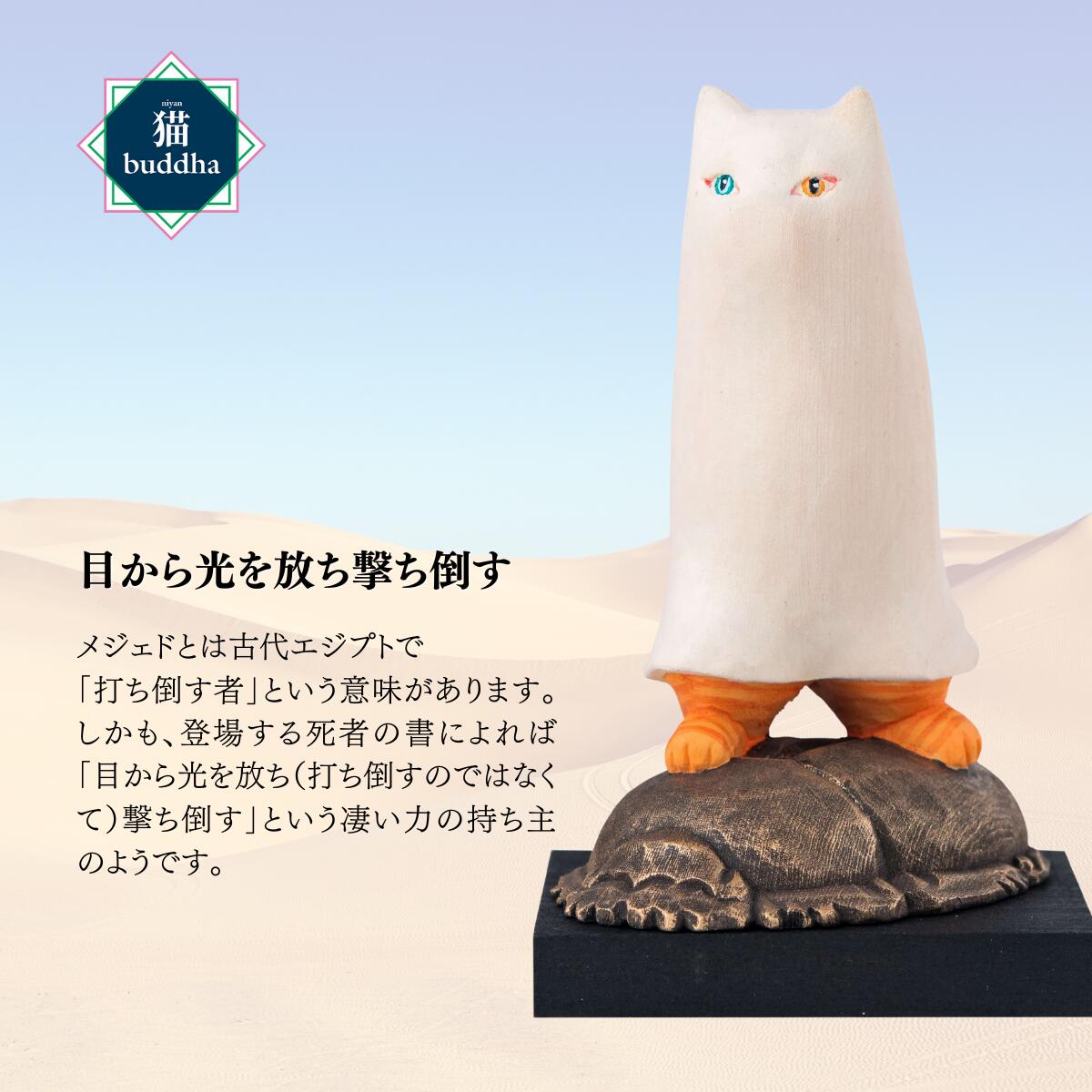 埼玉県東松山市の画像2