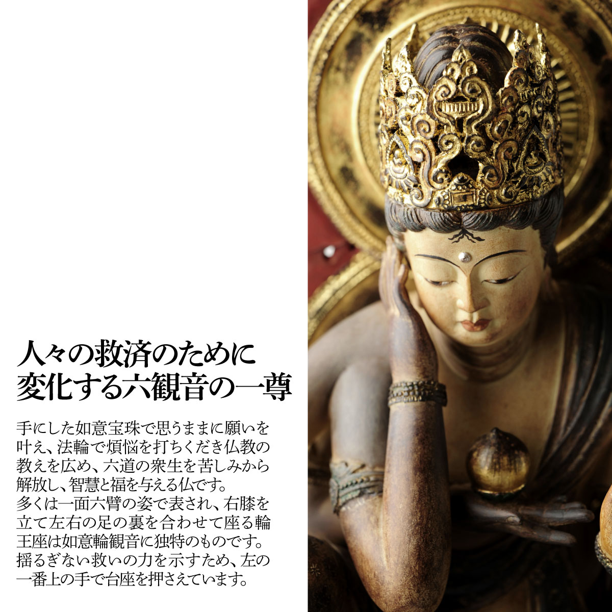 埼玉県東松山市の画像2