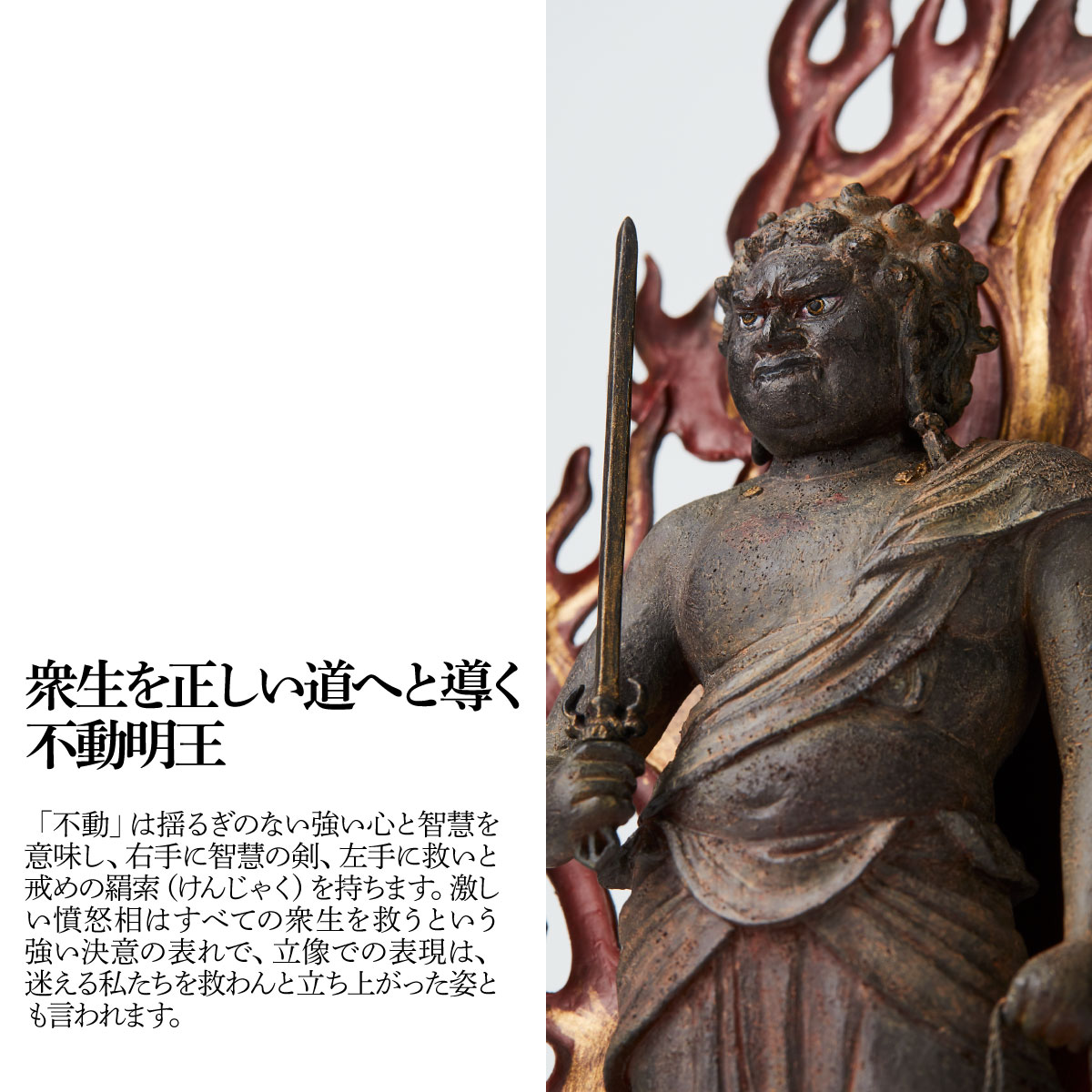 埼玉県東松山市の画像2