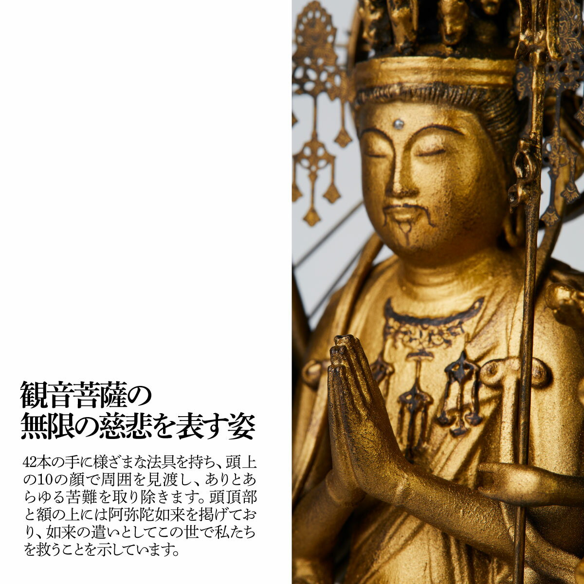 埼玉県東松山市の画像2