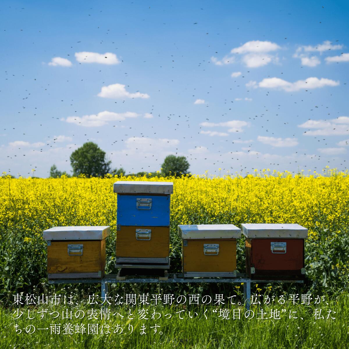 【ふるさと納税】はちみつ 百花蜂蜜 瓶詰セット 180g×3本 計540g 茶箱or赤箱 | はちみつ ハチミツ 蜂蜜 国産はちみつ 天然 百花 アカシア 瓶 甘い 甘さ 蜜蜂 プレゼント ギフト 贈答用 こだわり 季節 おすすめ オススメ 一雨養蜂園 埼玉県 東松山市 比企地域
