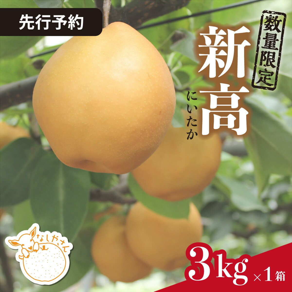 【ふるさと納税】新高（3kg）限定5箱 | 埼玉県 東松山市