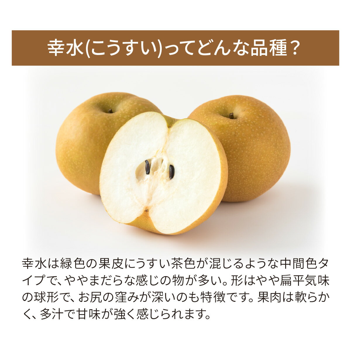 【ふるさと納税】＜先行予約 / 限定5箱＞ 梨 幸水 約3kg(6～9個入り) 東松山市産 | なし ナシ こうすい 果物 フルーツ 新鮮 自然栽培 農園直送 産地直送 農家直送 限定 期間限定 数量限定 贈答 贈り物 プレゼント ギフト 旬 甘い デザート なしやさん 埼玉県 東松山市