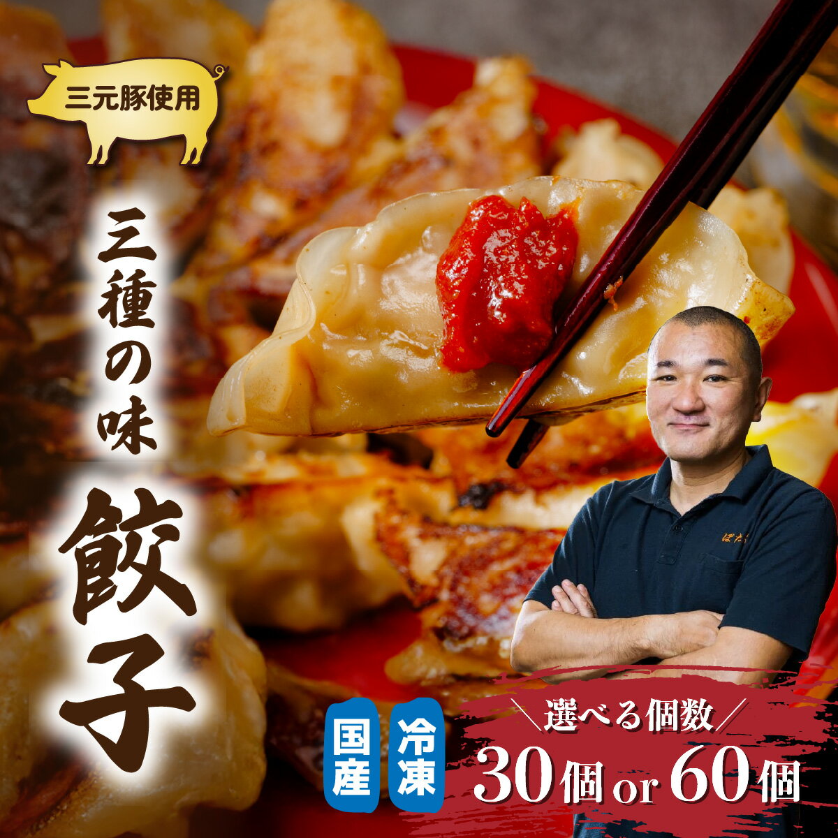 【ふるさと納税】 ＜選べる個数＞冷凍餃子 3種の味(みそだれ/肉/野菜) 30or60個 | 餃子 