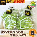 洗わず食べられる！ フリルレタス 8袋 フリルレタス レタス サラダ 緑黄色野菜 送料無料 東松山 埼玉県 洗わず食べる 野菜 サラダ 新鮮な 便利 ナチュラル グリーン サラダ野菜 ダイエット