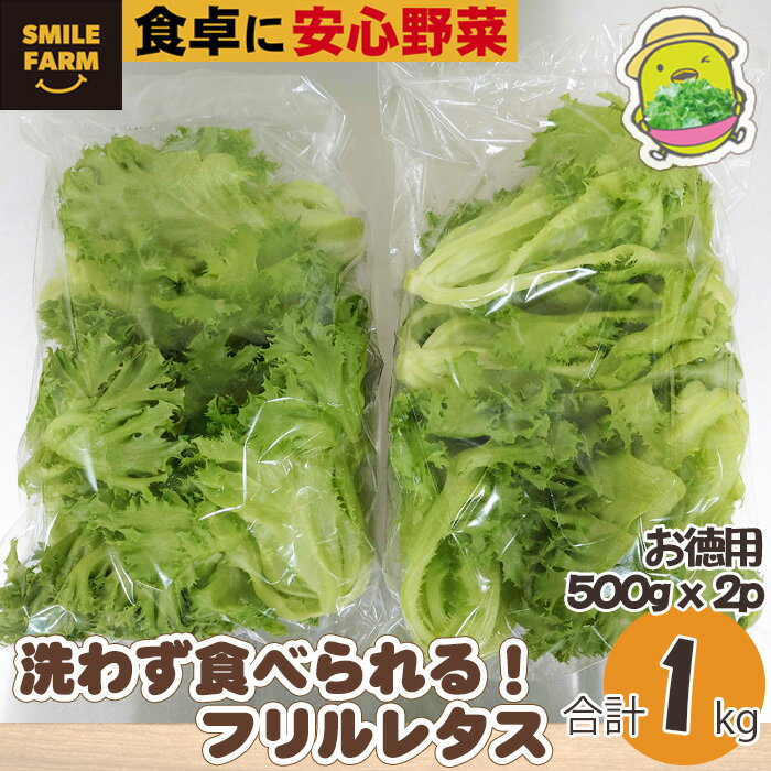 野菜・きのこ(レタス)人気ランク13位　口コミ数「1件」評価「5」「【ふるさと納税】【農薬不使用】洗わず食べられる！フリルレタス お徳用 1kg レタス サラダ 1kg 緑黄色野菜 送料無料 東松山 埼玉県 洗わず食べる 野菜 サラダ 新鮮な 便利 ナチュラル グリーン サラダ野菜 ダイエット」