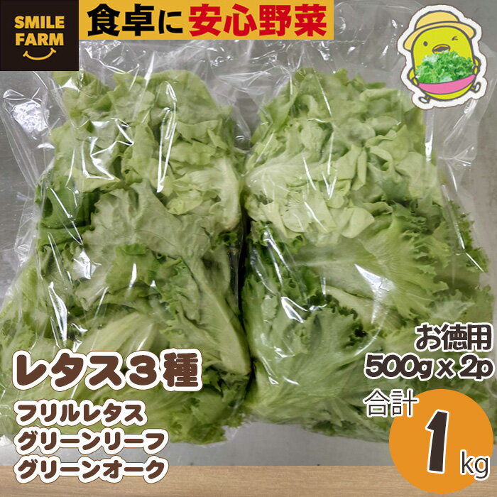 【ふるさと納税】【農薬不使用】洗わず食べられる！レタス 3種 詰めわせ 500g×2パック 合計1kg フリル...