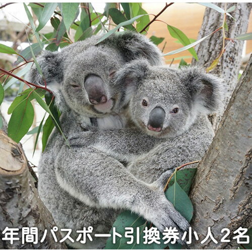 【ふるさと納税】こども動物自然公園 年間パスポート引換券 小人2名分 動物園 年間パスポート 子供2名 送料無料 東松山 埼玉県 【自然体験 動物園 家族で楽しむ 子供向け 年間利用可能 季節ごとのイベント アウトドア アクティビティ 教える 学びの場 お得な入場券 遊び場】