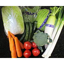【ふるさと納税】季節の野菜詰合せセット 8~10品 野菜