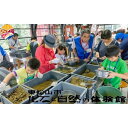 【ふるさと納税】No.035 東松山市化石と自然の体験館優待券【3名分】 ／ 化石発掘 チケット 送料無料 埼玉県