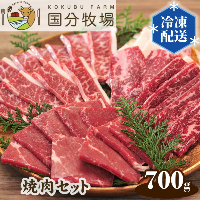 【ふるさと納税】 国産 牛肉 焼肉 700g 国分牧場 焼肉セット（三角バラ・トモサンカク・上カルビ・バラカルビ・イチボ・シンタマ・ウチモモ・ミスジ） BBQ 国産牛 真空 冷凍 焼肉 700g セット 送料無料 東松山 埼玉県 バーベキュー プレミアム メインディッシュ 贅沢 お肉