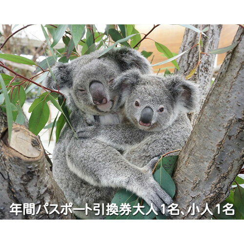 こども動物自然公園優待券 [年間パスポート引換券大人1名 小人1名] 動物園 年間パスポート 2名 送料無料 東松山 埼玉県