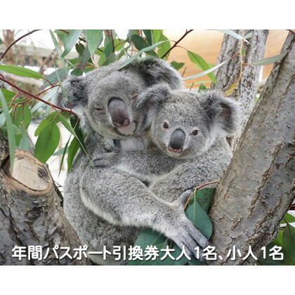 こども動物自然公園優待券 【年間パスポート引換券大人1名 小人1名】 動物園 年間パスポート 2名 送料無料 東松山 埼玉県