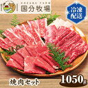 【ふるさと納税】 国産 牛肉 焼肉 1050g 国分牧場 焼肉セット お任せ 三角バラ トモサンカク 上カルビ バラカルビ イチボ シンタマ ウチモモ ミスジ 国産牛 BBQ 真空 冷凍 セット 送料無料 東…