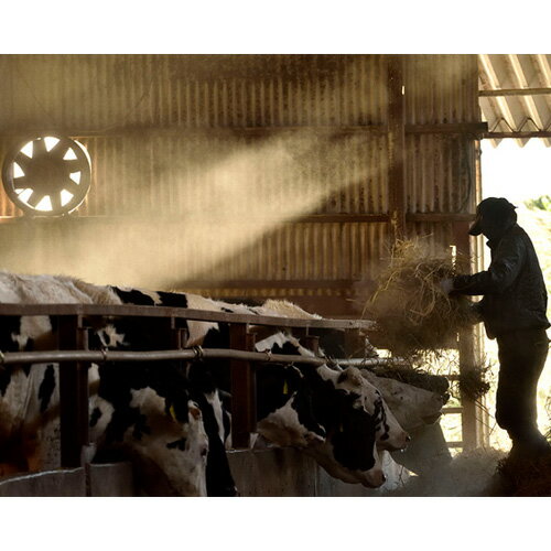 埼玉県東松山市の画像3