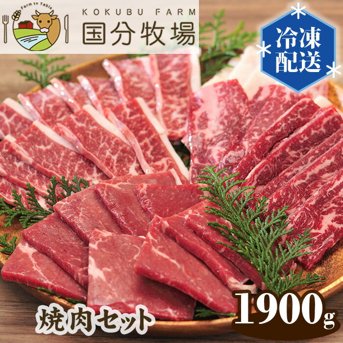 【ふるさと納税】 国産 牛肉 焼肉 1900g 国分牧場 焼肉セット お任せ 三角バラ トモサンカク 上カルビ バラカルビ イチボ シンタマ ウチモモ ミスジ 国産牛 真空 冷凍 セット 送料無料 東松山 …