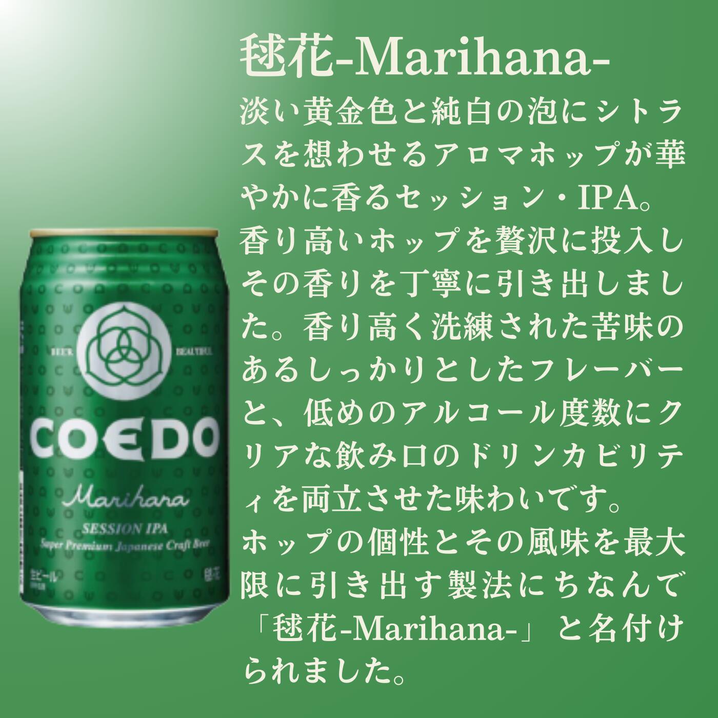 【ふるさと納税】 コエドビール 缶 12本 【 毬花 】 ( 350ml × 12本 ) 計 4,200ml ｜ COEDO コエド クラフトビール 地ビール お酒 ビール 缶ビール BBQ キャンプ アウトドア 宅飲み 家飲み 晩酌 父の日 母の日 ギフト 贈り物 お中元 お歳暮 贈答品 手土産 おもたせ 東松山