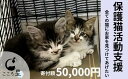 保護猫活動支援〜野良猫から地域で見守るさくら猫に〜 寄付額50,000円