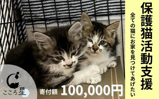 【ふるさと納税】＜お礼の品なし＞保護猫活動支援〜野良猫から地域で見守るさくら猫に〜 寄付額100 000円 | 埼玉県 東松山市 保護猫 猫の里親募集 動物保護活動 ペットアドoption 猫の里親探し…