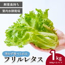 【ふるさと納税】洗わず食べられる/室内水耕栽培 フリルレタス お徳用 500g×2パック 計1kg | レタス 減農薬 新鮮 洗わずに食べられる 新鮮レタス オーガニック野菜 室内栽培 清潔 野菜直送 フレッシュ サラダ用 健康志向 フレッシュ 産地直送 緑黄色野菜 埼玉県 東松山市