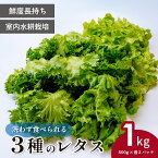 【ふるさと納税】洗わず食べられる/室内水耕栽培 3種のレタス 各500g×2パック 計1kg | レタス フリルレタス グリーンリーフ グリーンオーク 減農薬 新鮮 オーガニック野菜 室内栽培 清潔 野菜直送 フレッシュ サラダ用 健康志向 産地直送 緑黄色野菜 埼玉県 東松山市