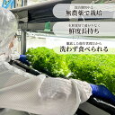 埼玉県東松山市の画像3