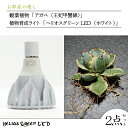 【ふるさと納税】お部屋の癒し 観葉植物 アガベ 王妃甲蟹錦 と植物育成ライト ヘリオスグリーンLED ホワイト の2点セット BN031 