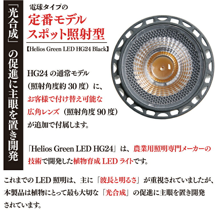 埼玉県春日部市の画像2