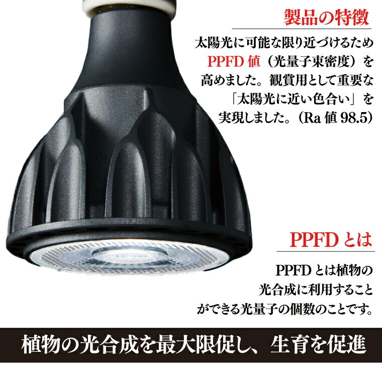 埼玉県春日部市の画像3