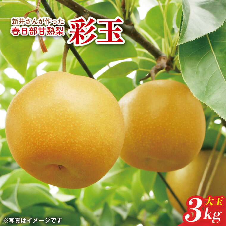 商品画像1