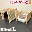 ڤդ뤵Ǽǡۤˤ󤬡 Blind LCB002