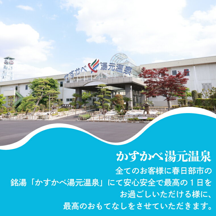 【ふるさと納税】かすかべ湯元温泉利用回数券　11枚綴り（BZ002）その2