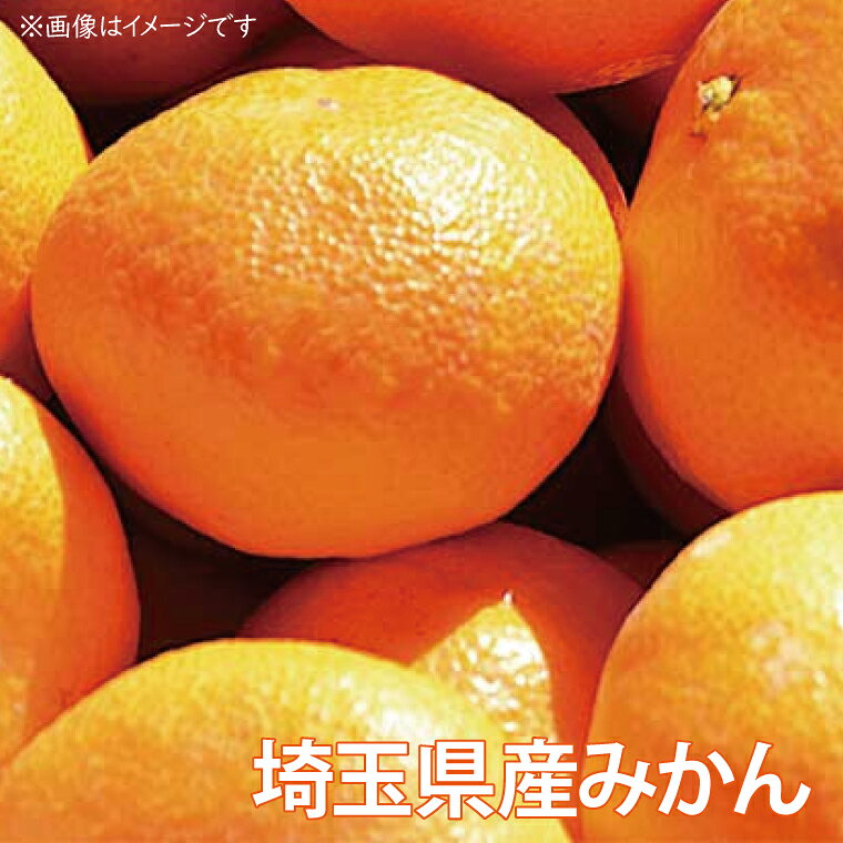 【ふるさと納税】【先行予約】【10月中旬より発送開始】みかん狩り　ペア招待券（お土産付き）【埼玉県 春日部市 ふるさと納税 観光 農業体験 レジャー 予約 チケット カップル シニア おでかけ】（CH001-1） f112143-kasukabe-10000471 埼玉県春日部市 サンプル画像3