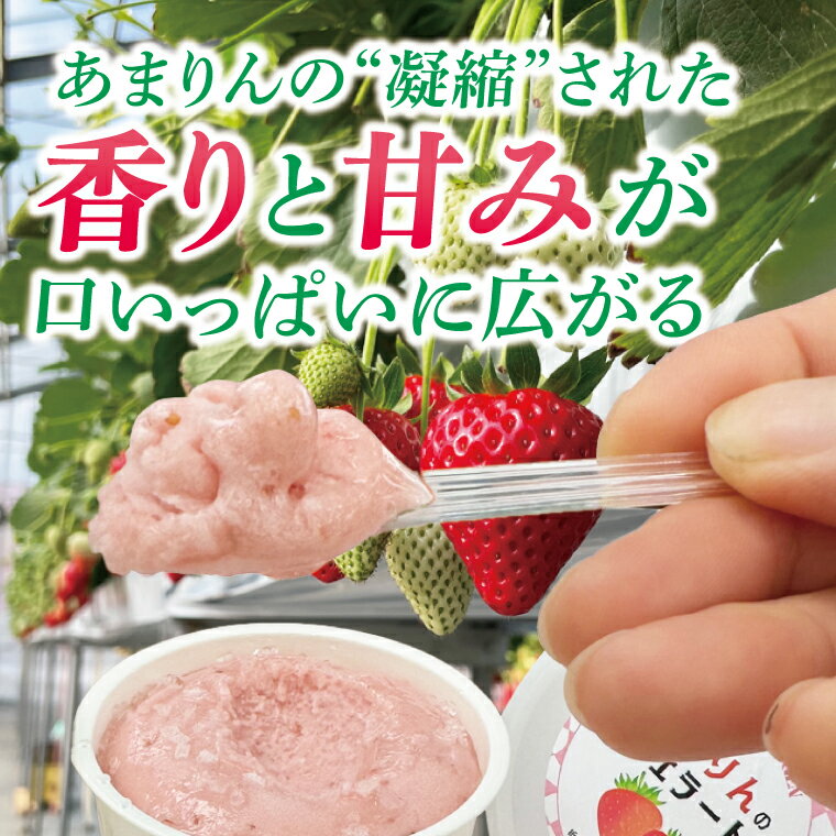 【ふるさと納税】あまりんのジェラート　6個（CJ005）