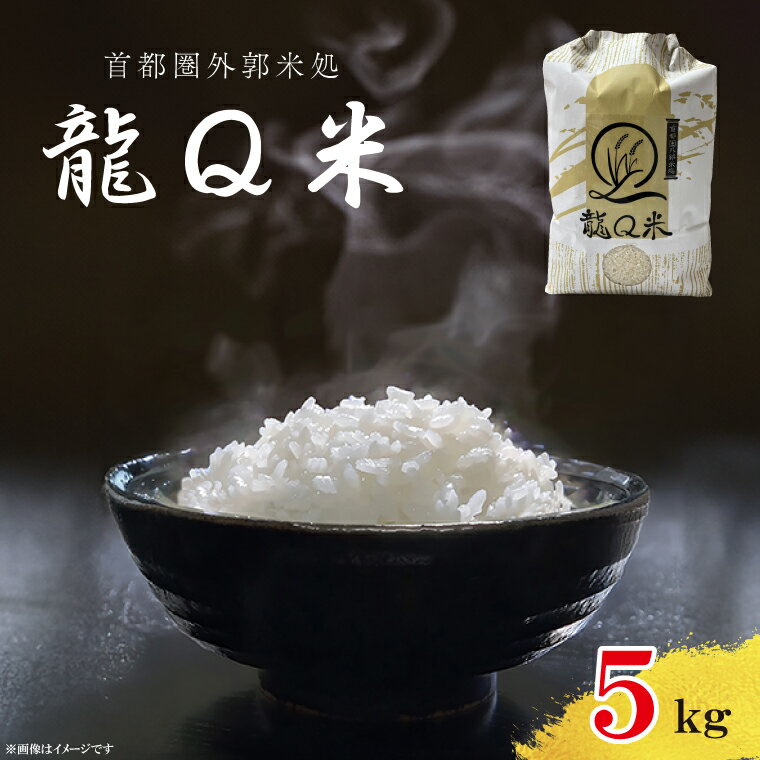 【ふるさと納税】龍Q米(5kg)(AO002)