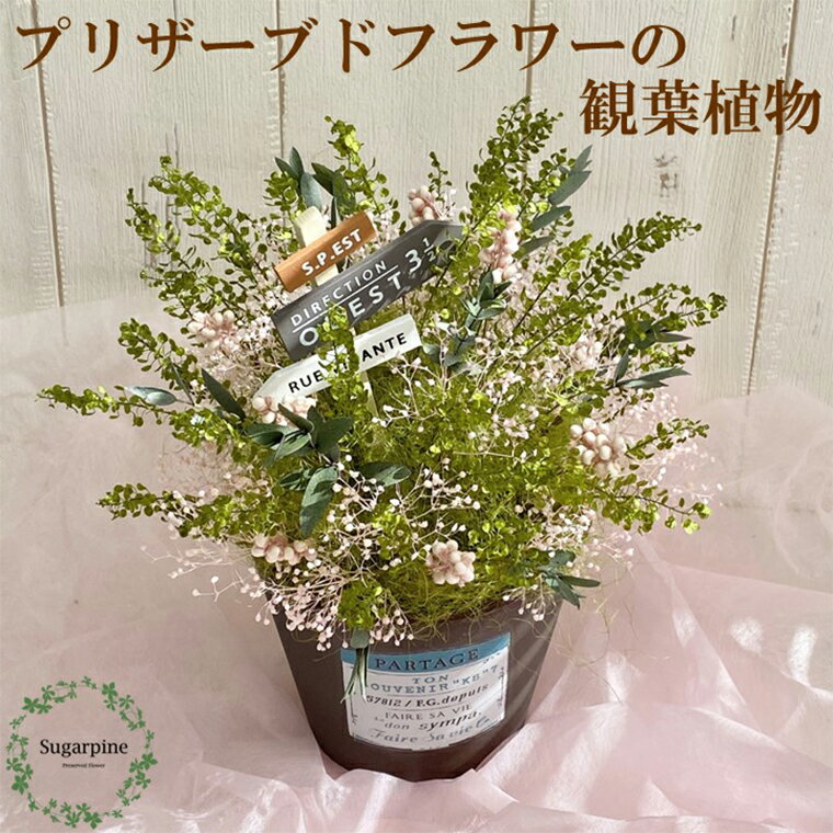 【ふるさと納税】プリザーブドフラワー パルタージュ ピンク 春日部市 シュガーパイン(AJ157-1)