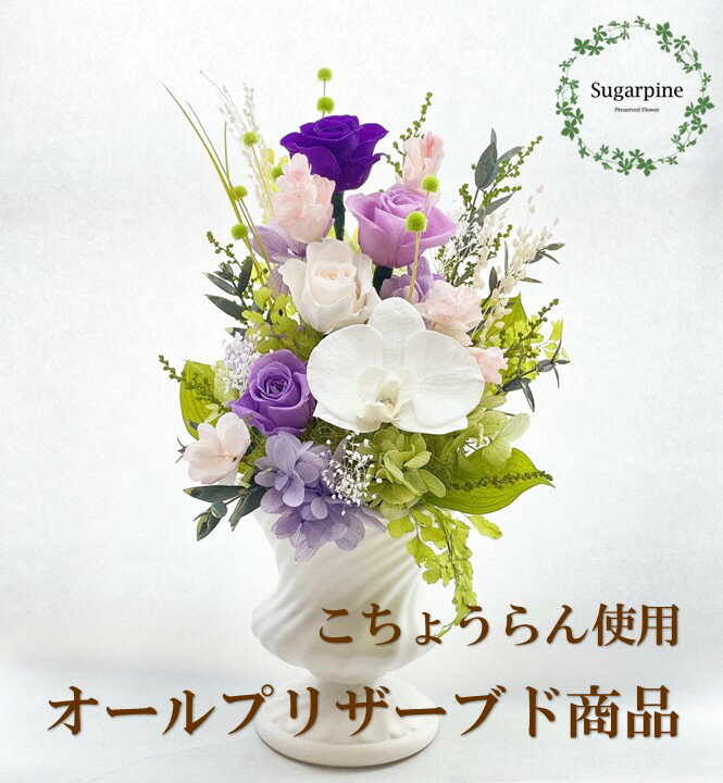 花・観葉植物(プリザーブドフラワー)人気ランク1位　口コミ数「3件」評価「5」「【ふるさと納税】プリザーブドフラワーアレンジ【想〜SOU〜】春日部市 シュガーパイン(AJ083-1)」